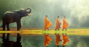 7 Tips Liburan ke Thailand agar Perjalanan Lancar dan Menyenangkan