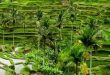 Destinasi Liburan di Bali yang Asik dan Menyenangkan