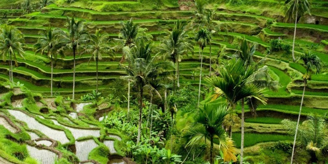 Destinasi Liburan di Bali yang Asik dan Menyenangkan