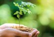 Go Green! 5 Langkah Praktis Hidup Ramah Lingkungan di Rumah untuk Masa Depan Lebih Hijau