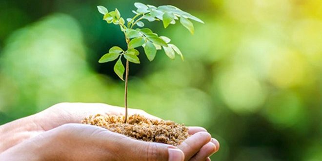 Go Green! 5 Langkah Praktis Hidup Ramah Lingkungan di Rumah untuk Masa Depan Lebih Hijau