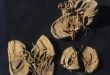 Sejarah Sepatu dan Fakta Menarik yang Mungkin Belum Kamu Ketahui