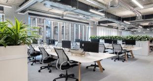 Desain Kreatif Kantor Berbasis Lingkungan untuk Masa Depan Lebih Hijau