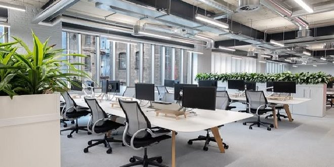 Desain Kreatif Kantor Berbasis Lingkungan untuk Masa Depan Lebih Hijau