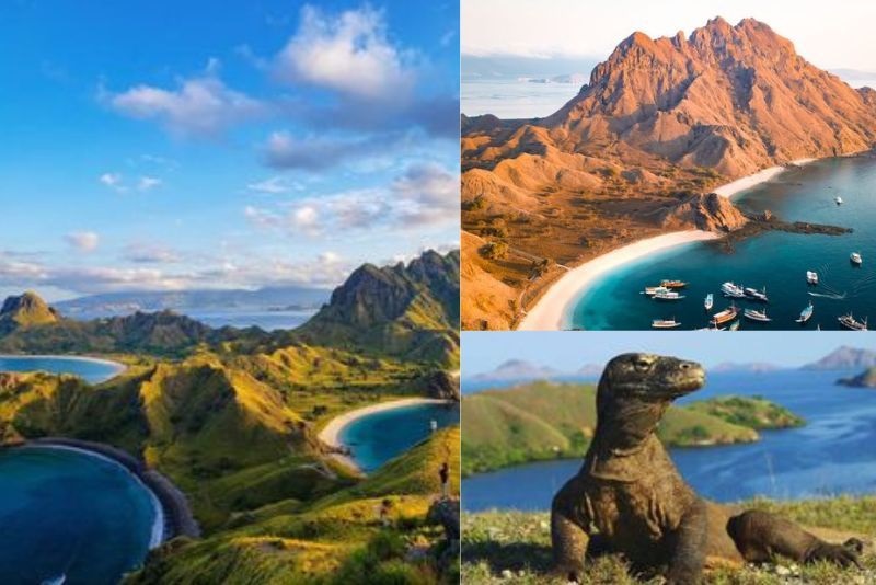 Destinasi Wisata Pulau Komodo